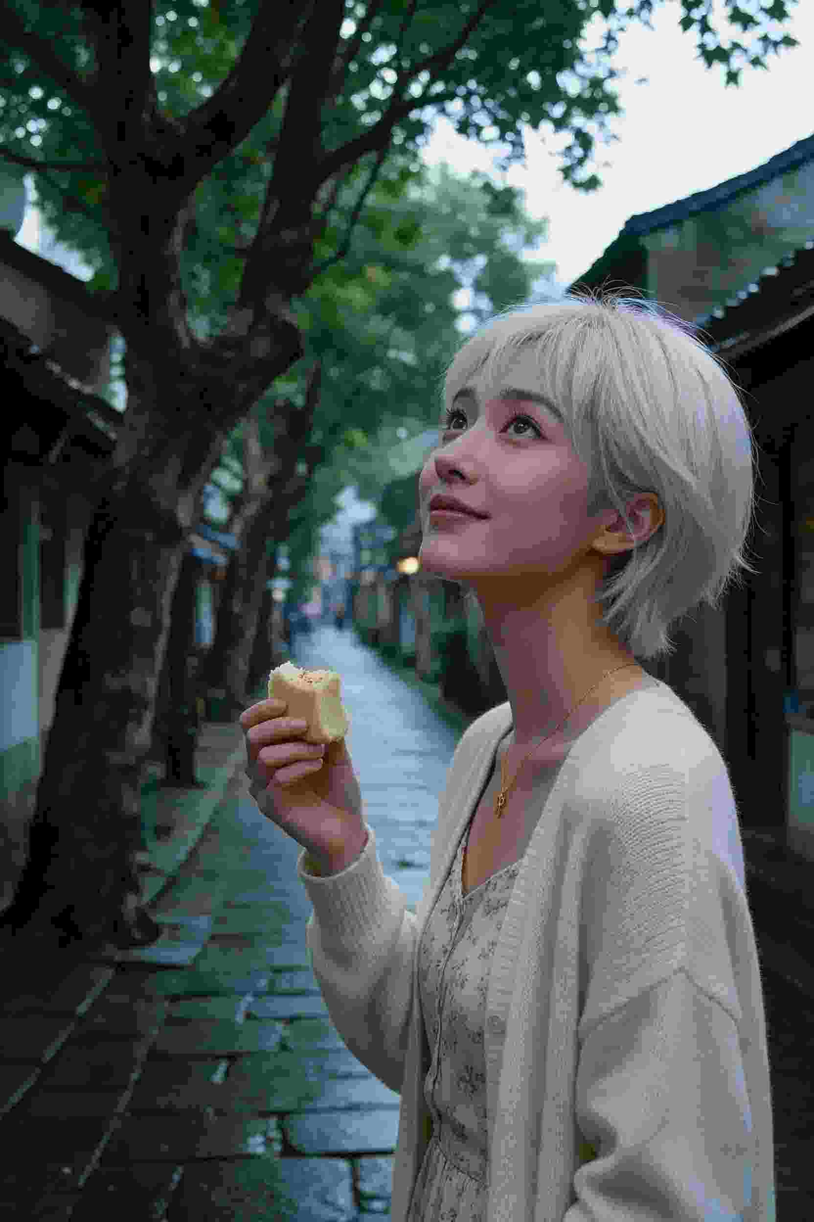 海岛密码